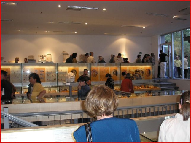 Razgledavanje muzeja7